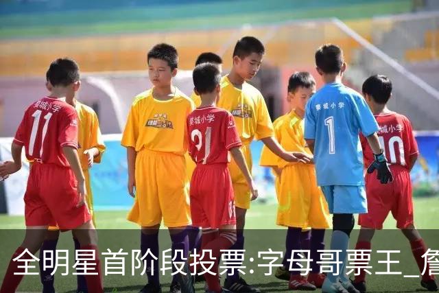 全明星首阶段投票:字母哥票王 詹姆斯西部票王