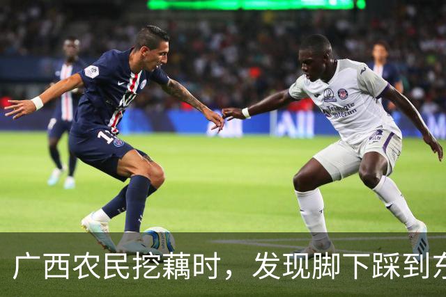广西农民挖藕时，发现脚下踩到东西，众人合力将其挖出后全都傻眼